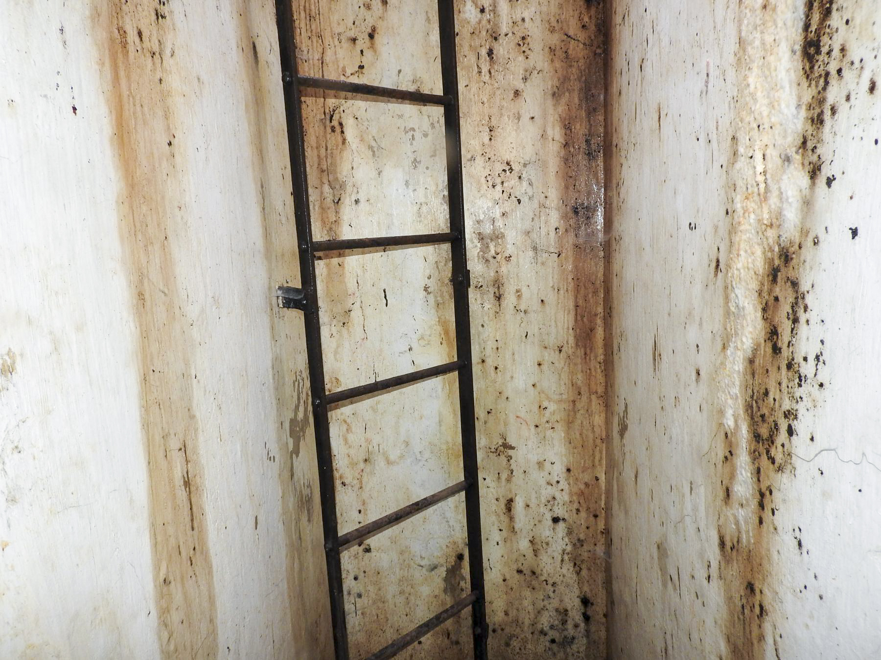Ligne Maginot - H - (Chambre de coupure) - L'échelle d'accès - STENGER Mathieu