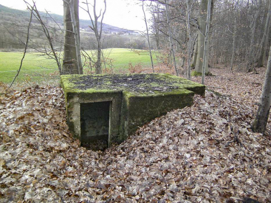Ligne Maginot - Blockhaus OBERWALD - Vue de l'entrée - GLÜCKSJÄGER GJ13