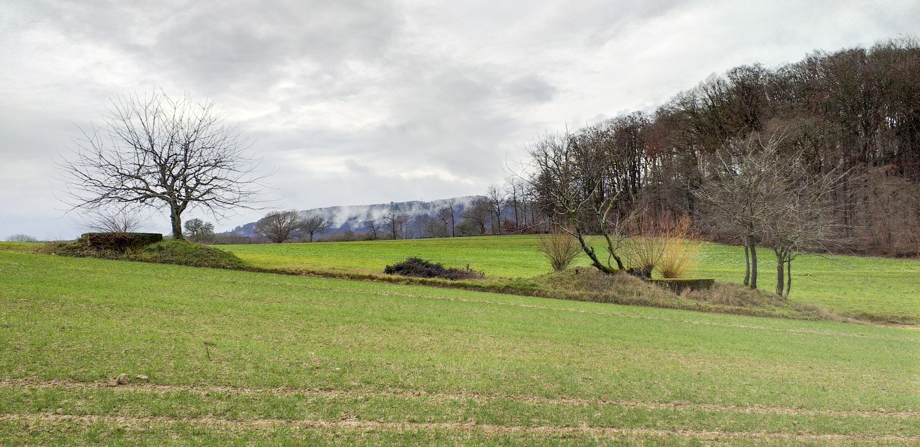 Ligne Maginot - KINZELBACH OUEST 1 et 2 - (Blockhaus pour arme infanterie) - Les deux blocs Kinzelbach ouest 1 et 2 vu de face - Gregory Fuchs
