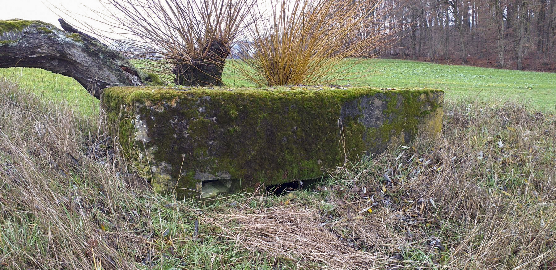 Ligne Maginot - KINZELBACH OUEST 1 - (Blockhaus pour arme infanterie) - Créneaux mitrailleuse et observatoire - Gregory Fuchs