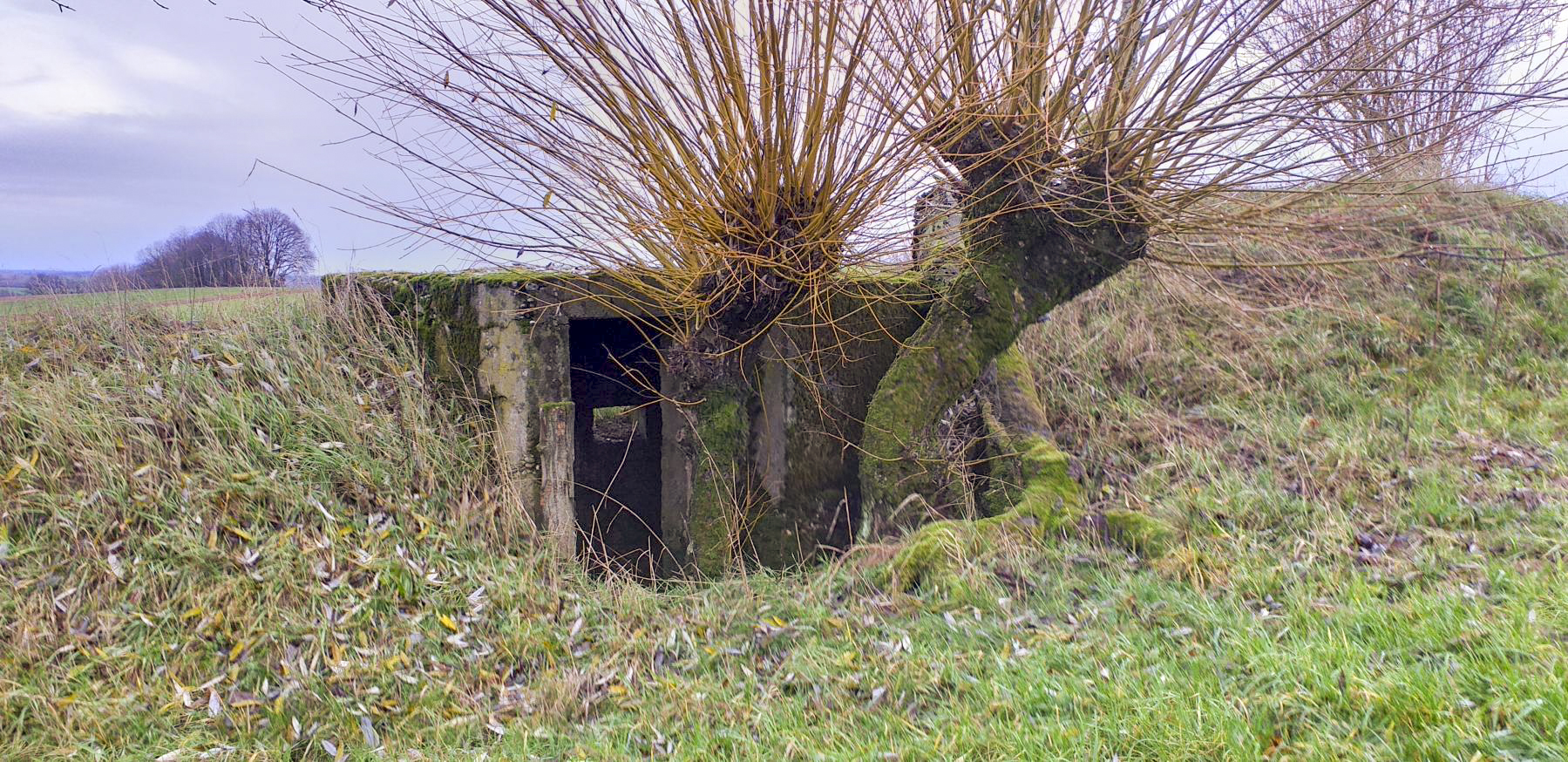 Ligne Maginot - KINZELBACH OUEST 1 - (Blockhaus pour arme infanterie) - L'entrée - Gregory Fuchs