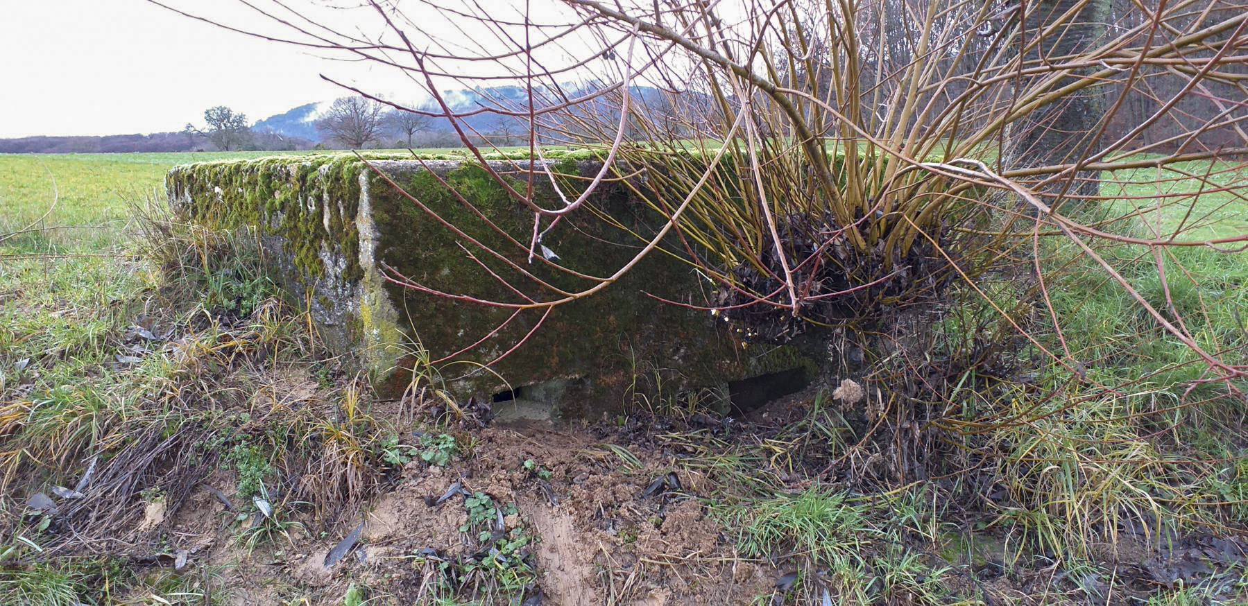 Ligne Maginot - KINZELBACH OUEST 2 - (Blockhaus pour arme infanterie) - Créneaux mitrailleuse et observatoire - Gregory Fuchs