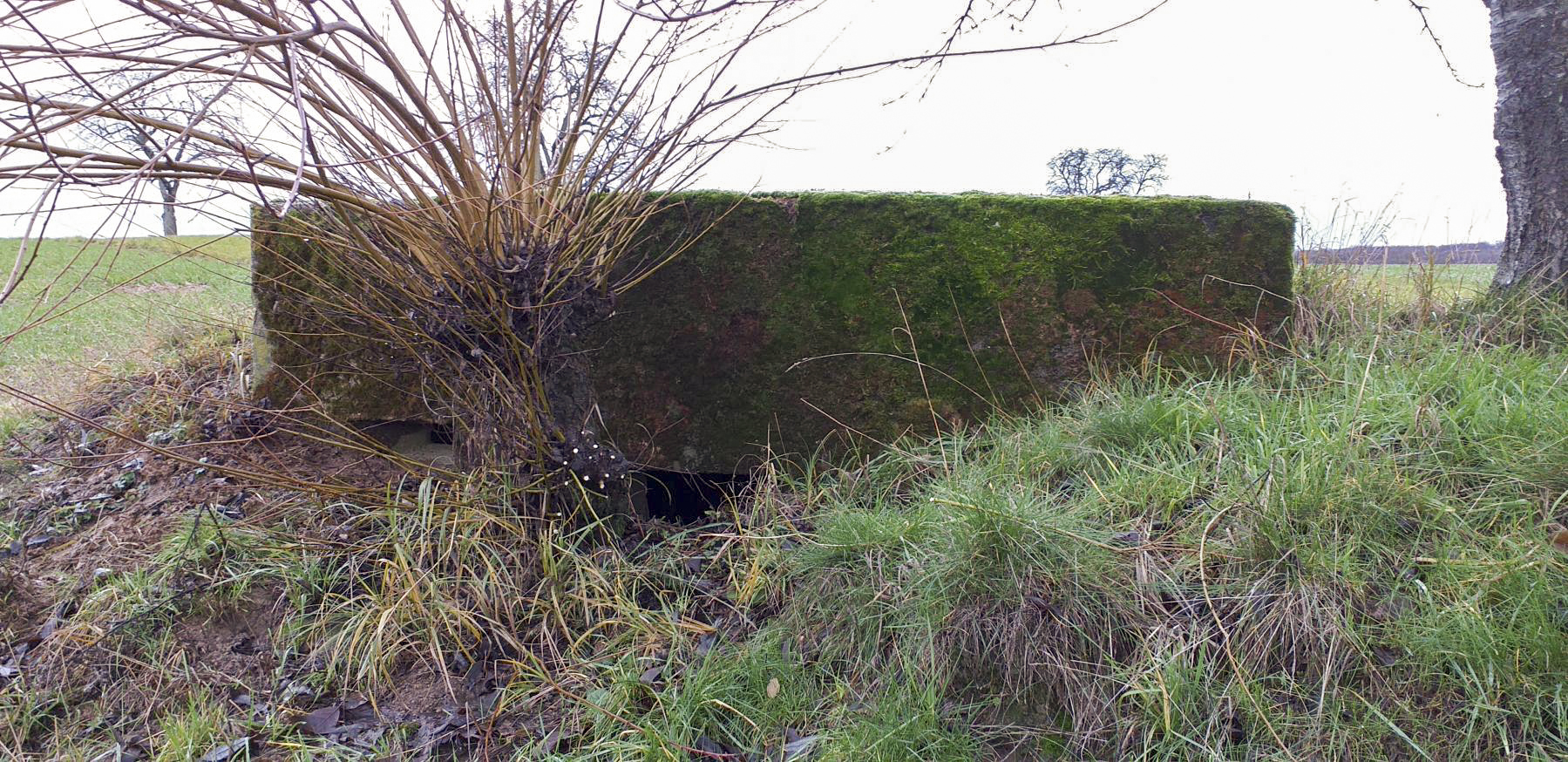 Ligne Maginot - KINZELBACH OUEST 2 - (Blockhaus pour arme infanterie) - Créneaux mitrailleuse et observatoire - Gregory Fuchs