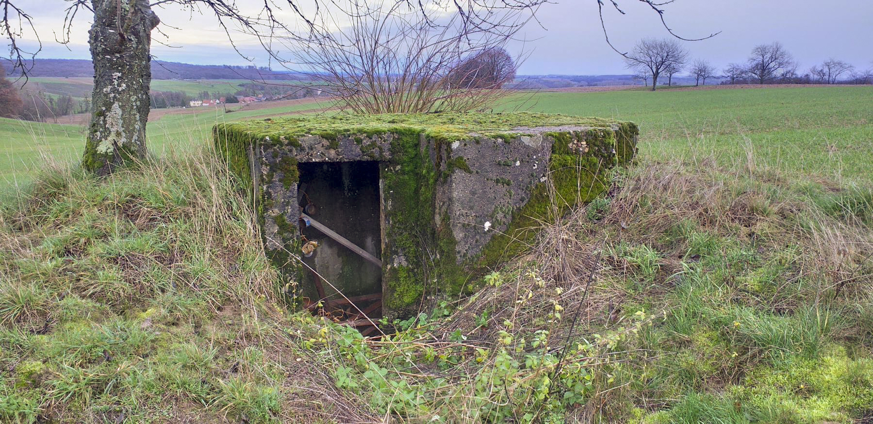 Ligne Maginot - KINZELBACH OUEST 2 - (Blockhaus pour arme infanterie) - Entrée - Gregory Fuchs