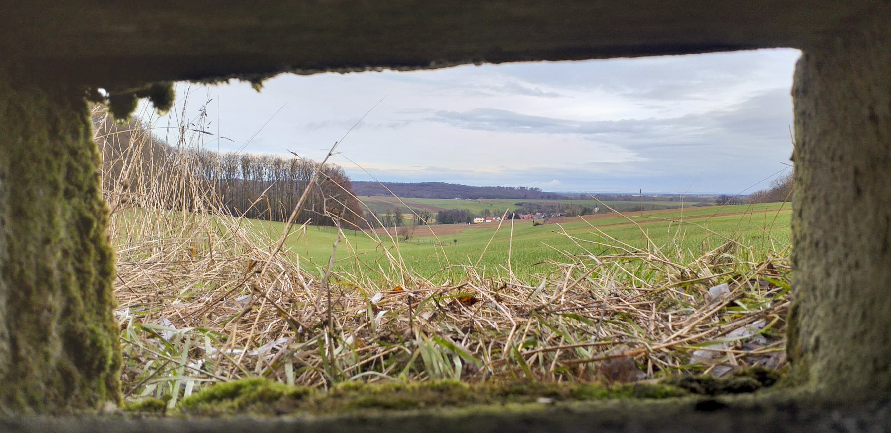 Ligne Maginot - KINZELBACH OUEST 2 - (Blockhaus pour arme infanterie) - Vu depuis le créneau d'observation (vallon du Kinzelbach) - Gregory Fuchs