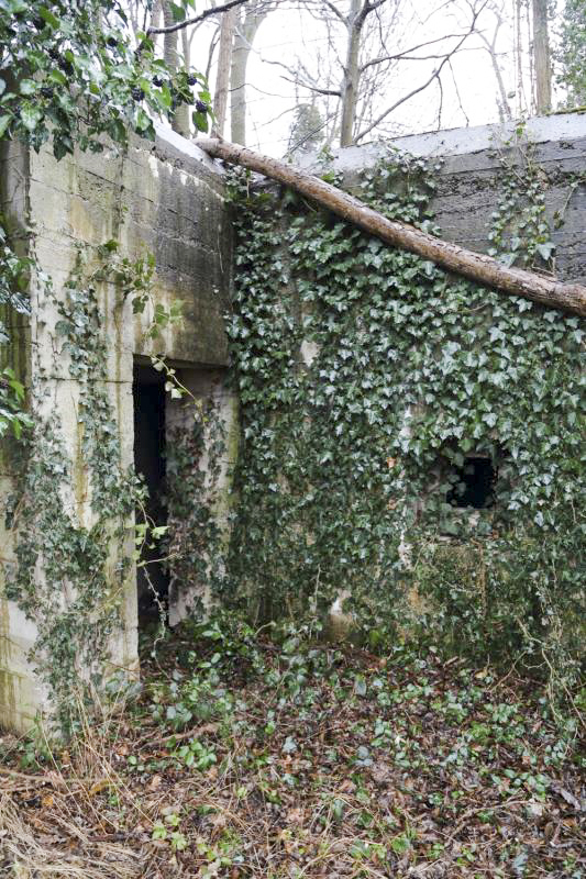 Ligne Maginot - WITTERNHEIM - (PC) -  - A. SCHOEN