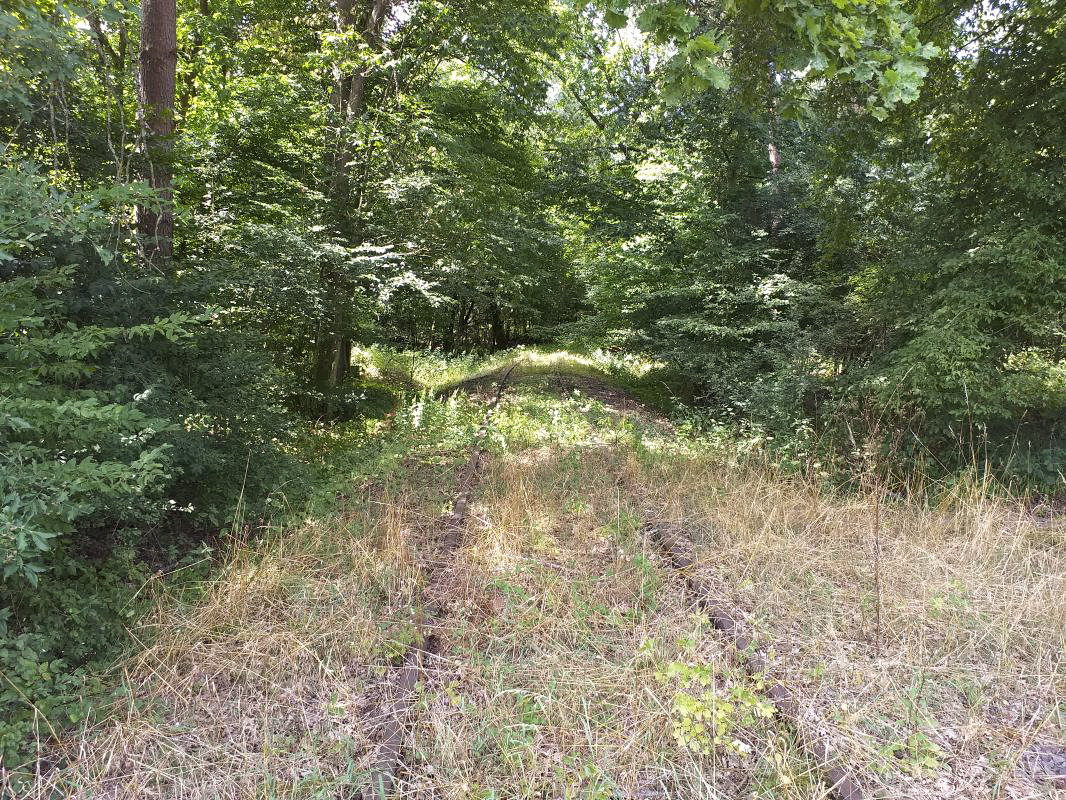 Ligne Maginot - NEUBOURG - (Depot du Génie) - Voie ferrée de service vers le dépôt de munitions - Gregory Fuchs