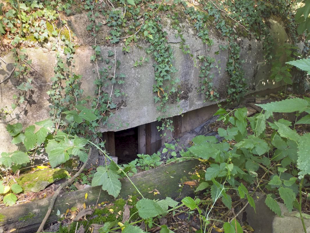 Ligne Maginot - REIMERSWILLER - (PC) - L'entrée gauche avant son dégagement - Gregory Fuchs