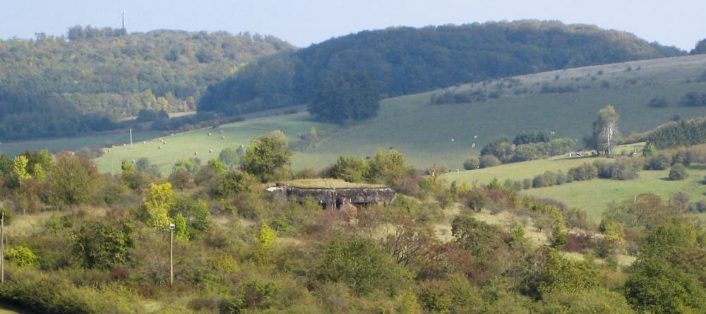 Ligne Maginot - PETERSBERG OUEST - C39 - (Casemate d'infanterie - Simple) - Vue générale - Pruzsina jerome