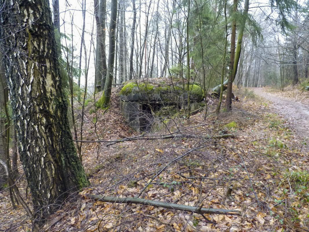 Ligne Maginot - 81 ( Chambre de coupure ) - Chambre de coupure 81 du Hochwald - Aditus