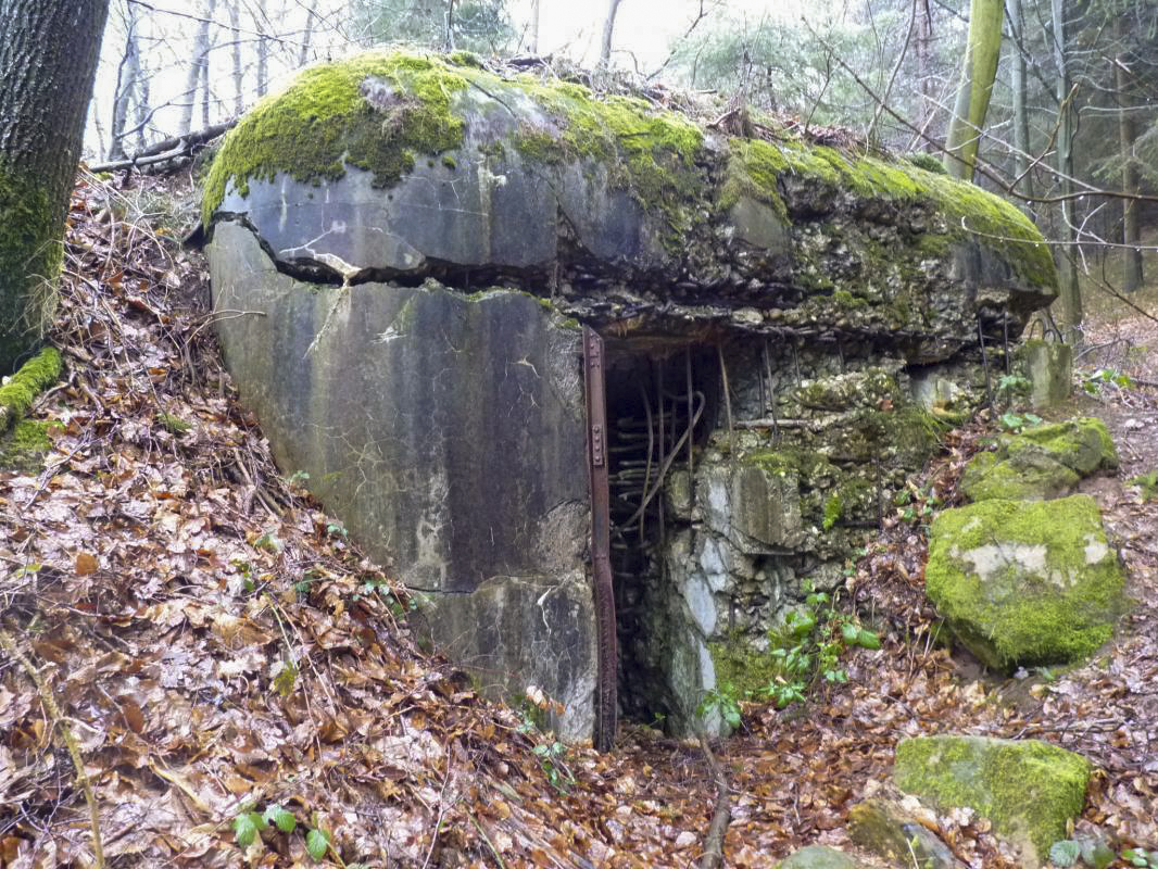 Ligne Maginot - 81 ( Chambre de coupure ) -  - Aditus