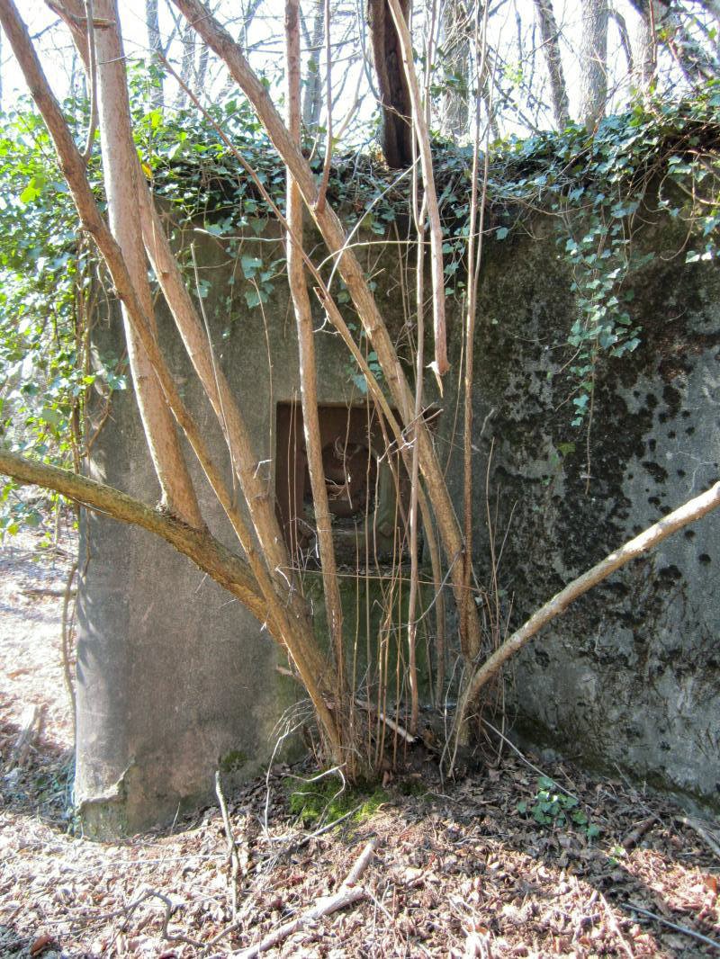 Ligne Maginot - BIBLISHEIM 2 - (Blockhaus pour arme infanterie) -  - gregfuchs