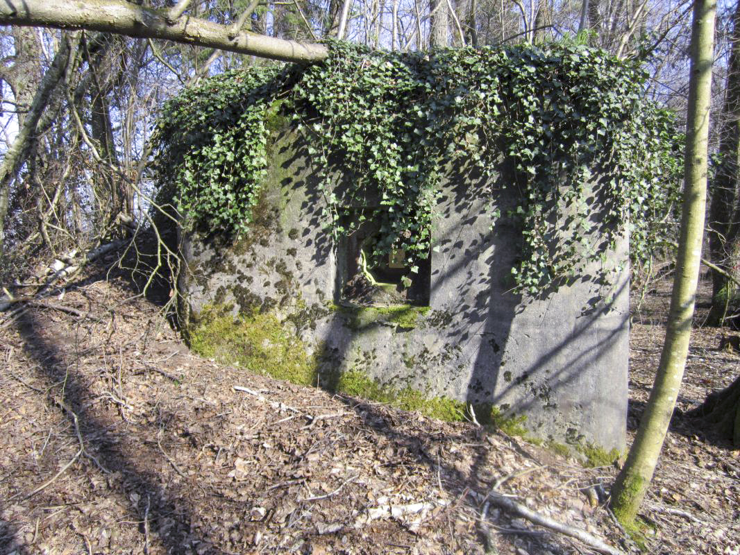 Ligne Maginot - BIBLISHEIM 2 - (Blockhaus pour arme infanterie) -  - gregfuchs