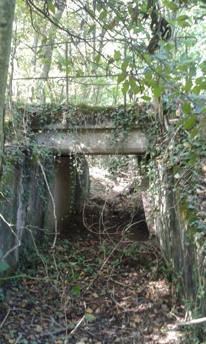 Ligne Maginot - BIBLIESHEIM - (Infrastructure ferroviaire) - 21 - PONT SUR LA SAUER - BIBLIESHEIM - Marc Jaeger