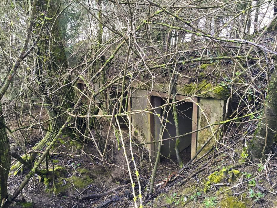 Ligne Maginot - BREITENACKER NORD - (Casemate d'infanterie - Simple) - Les niches extérieures pour les mines et barbelés - BOUCHOUCHA Eric