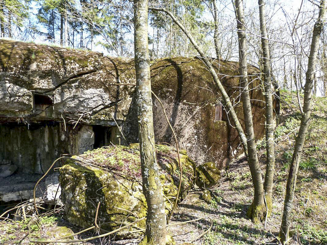 Ligne Maginot - BREITENACKER NORD - (Casemate d'infanterie - Simple) -  - JMBrams