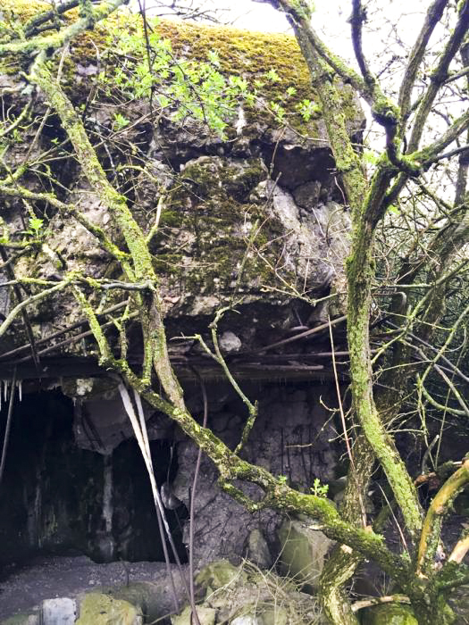Ligne Maginot - BREITENACKER SUD - (Casemate d'infanterie - Simple) -  - BOUCHOUCHA Eric