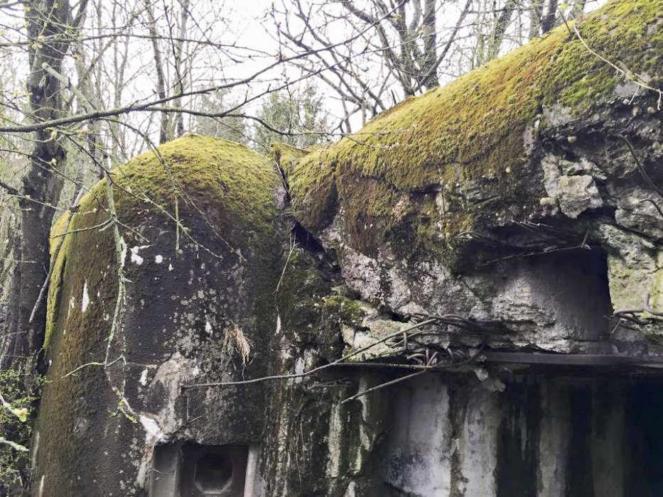 Ligne Maginot - BREITENACKER SUD - (Casemate d'infanterie - Simple) -  - BOUCHOUCHA Eric