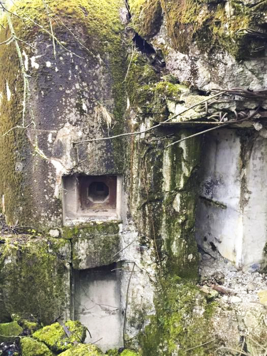 Ligne Maginot - BREITENACKER SUD - (Casemate d'infanterie - Simple) -  - BOUCHOUCHA Eric