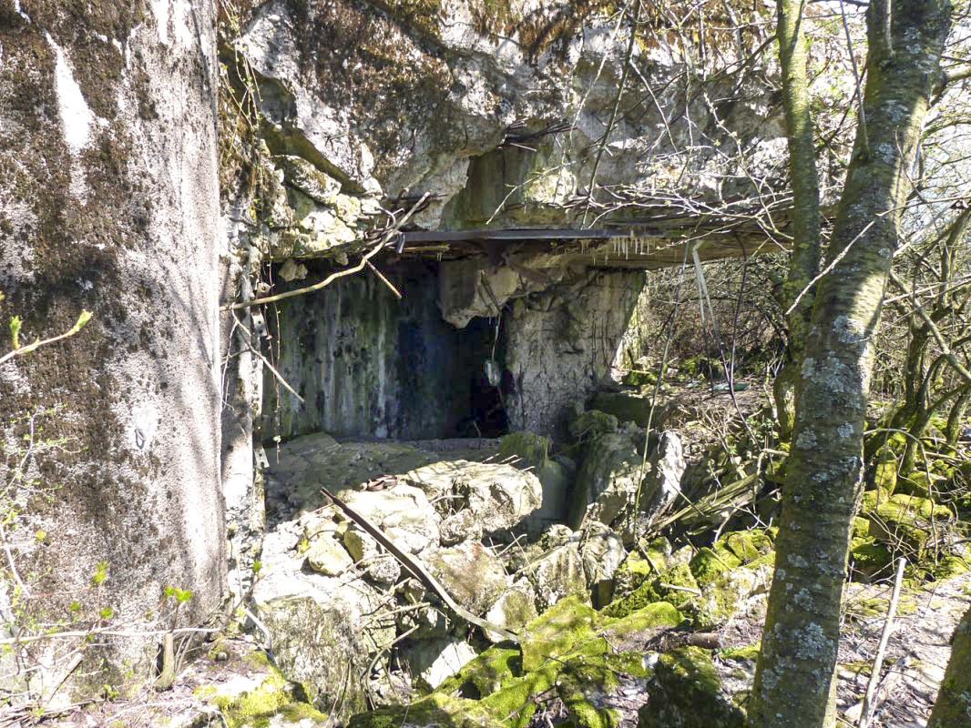 Ligne Maginot - BREITENACKER SUD - (Casemate d'infanterie - Simple) -  - JMBrams