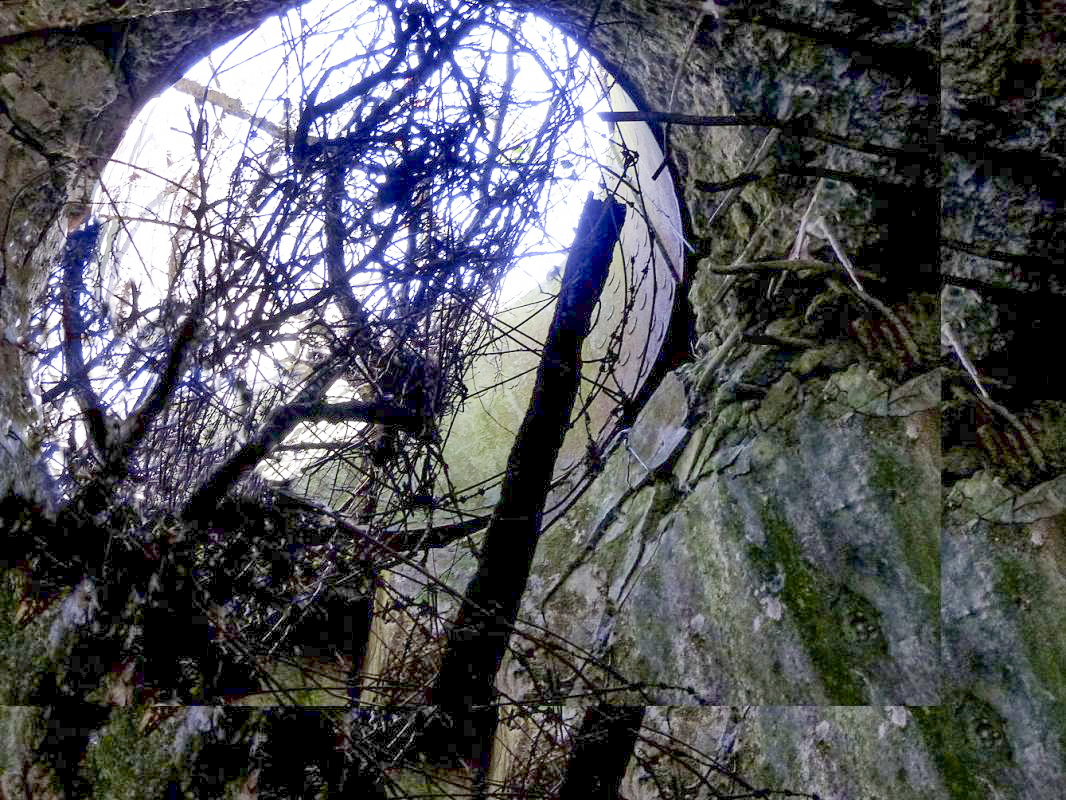 Ligne Maginot - BREITENACKER SUD - (Casemate d'infanterie - Simple) -  - JMBrams