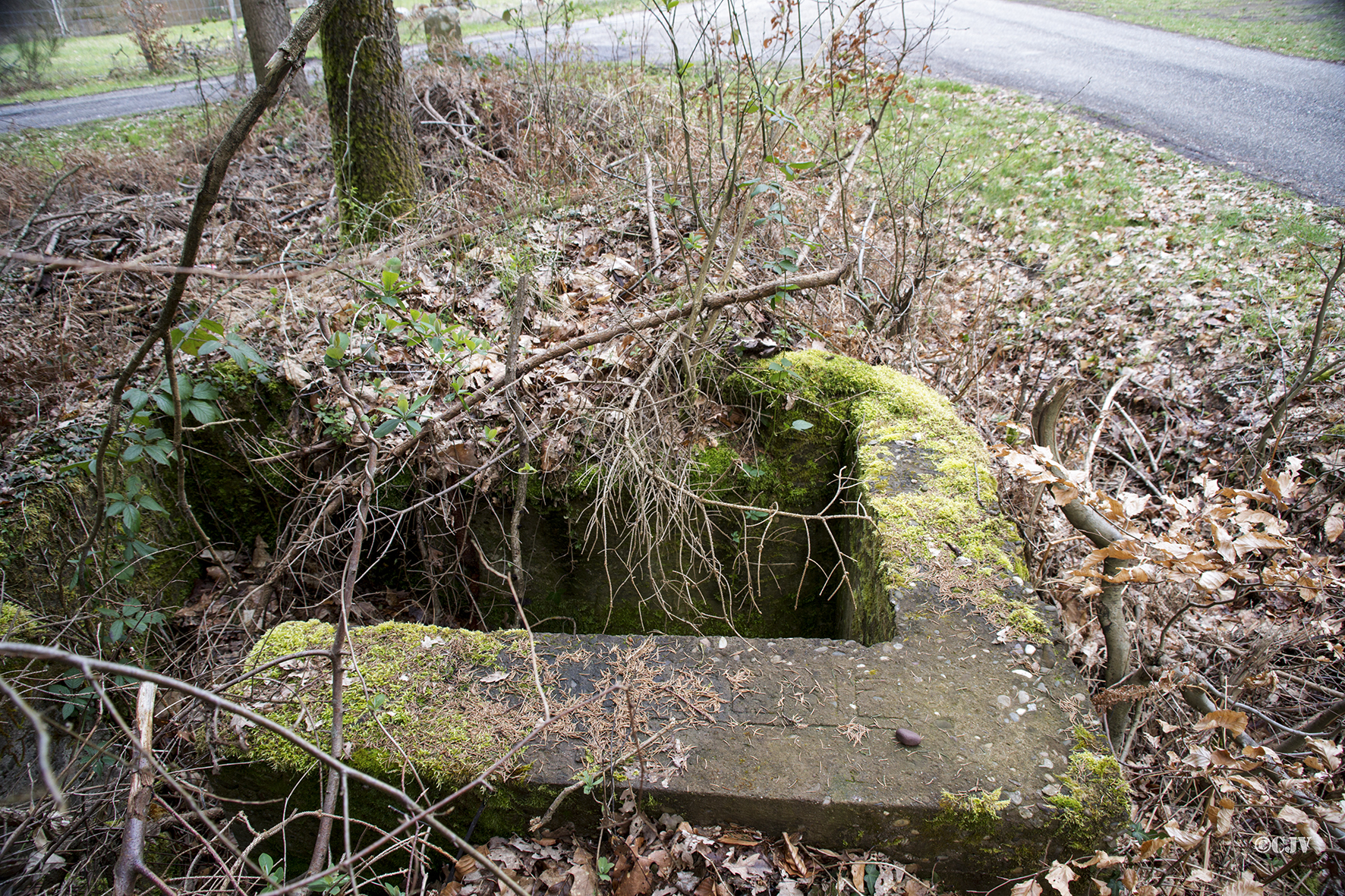 Ligne Maginot - CARREFOUR PARADE 3 - (Cuve pour arme d'infanterie) - Le mur porte une inscription - Lia VERMEULEN