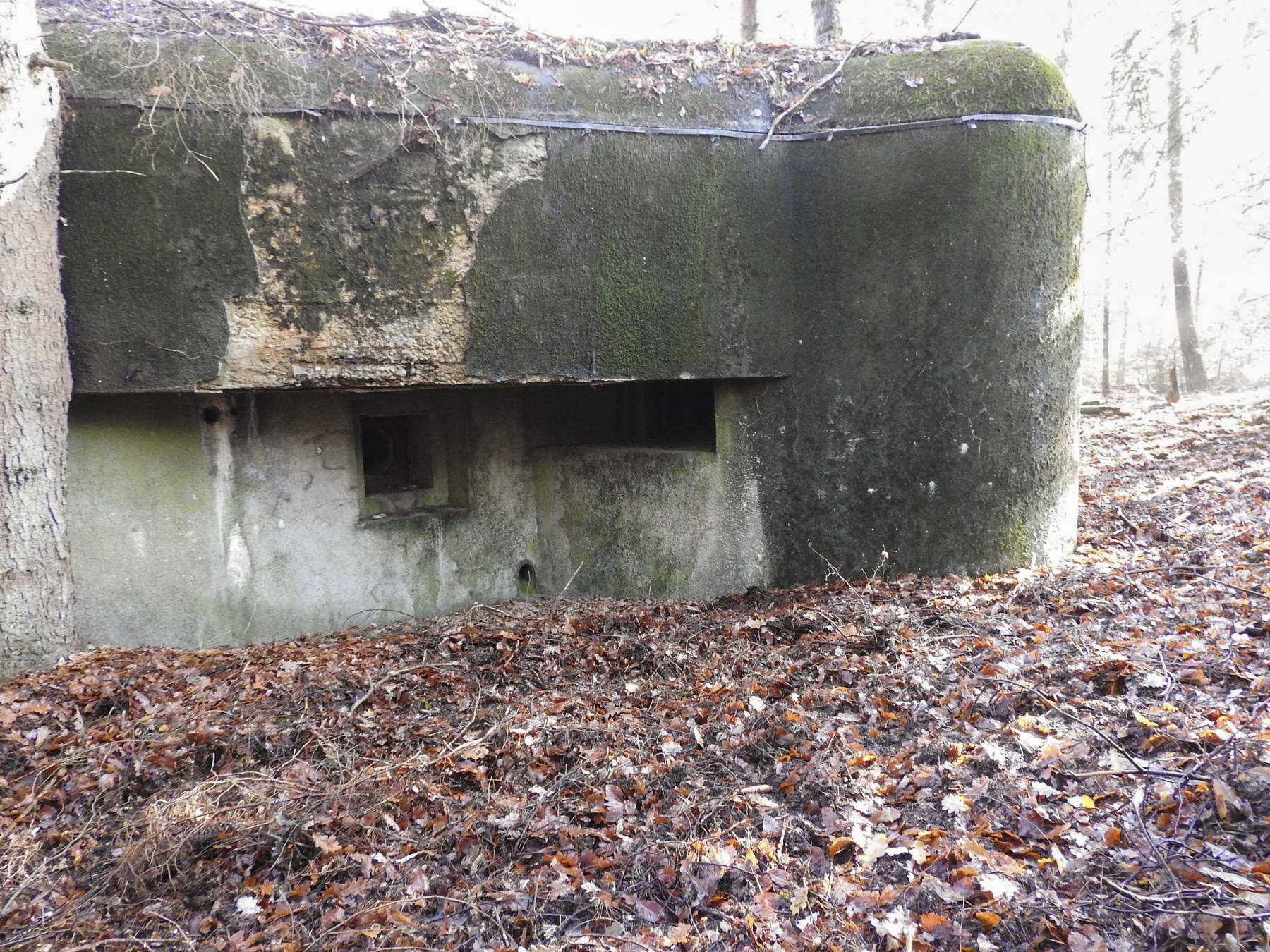 Ligne Maginot - GRAFENWEIHER NORD OUEST - (Casemate d'infanterie - double) - La façade de tir Ouest - STENGER Mathieu