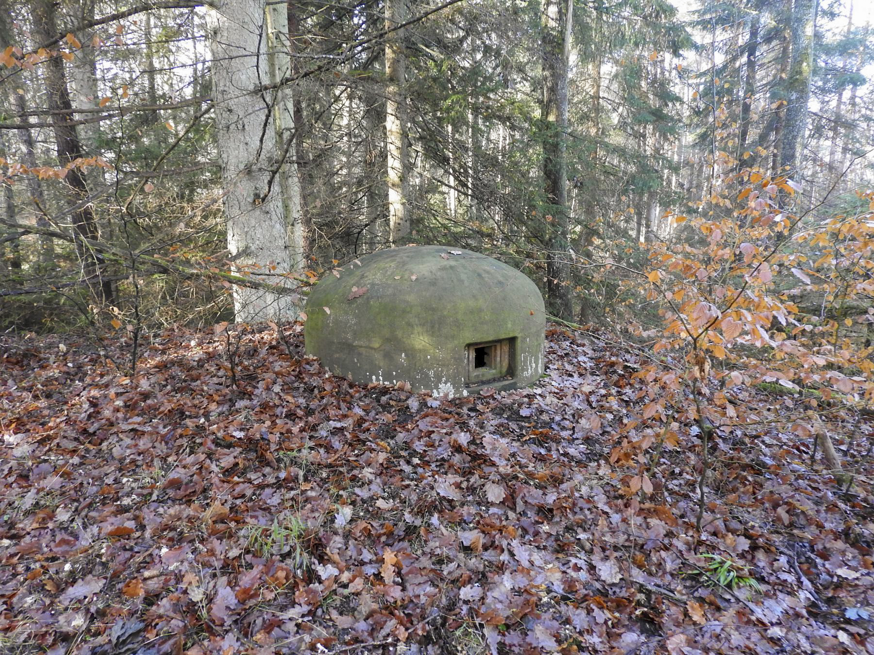 Ligne Maginot - GRAFENWEIHER NORD OUEST - (Casemate d'infanterie - double) - La cloche Ouest - STENGER Mathieu