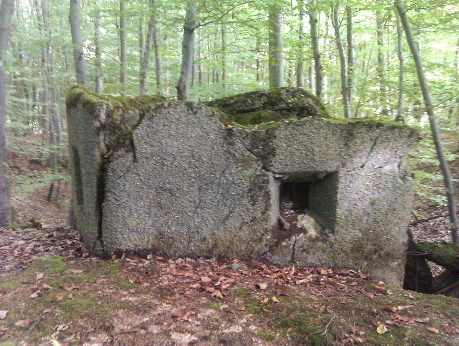 Ligne Maginot - CLIMBACH 2 - (Blockhaus pour arme infanterie) -  - donceuh