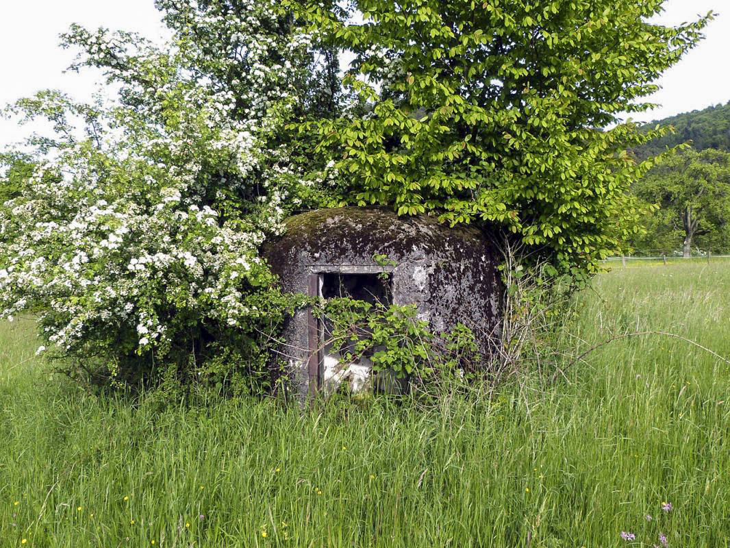 Ligne Maginot - CLIMBACH 3 - (Blockhaus pour arme infanterie) -  - JMBrams