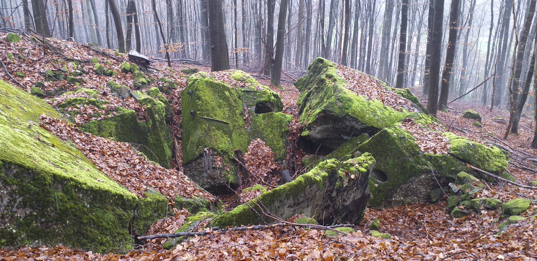 Ligne Maginot - PFAFFENBRONN - O96 - (Observatoire d'artillerie) -  - Gregory Fuchs