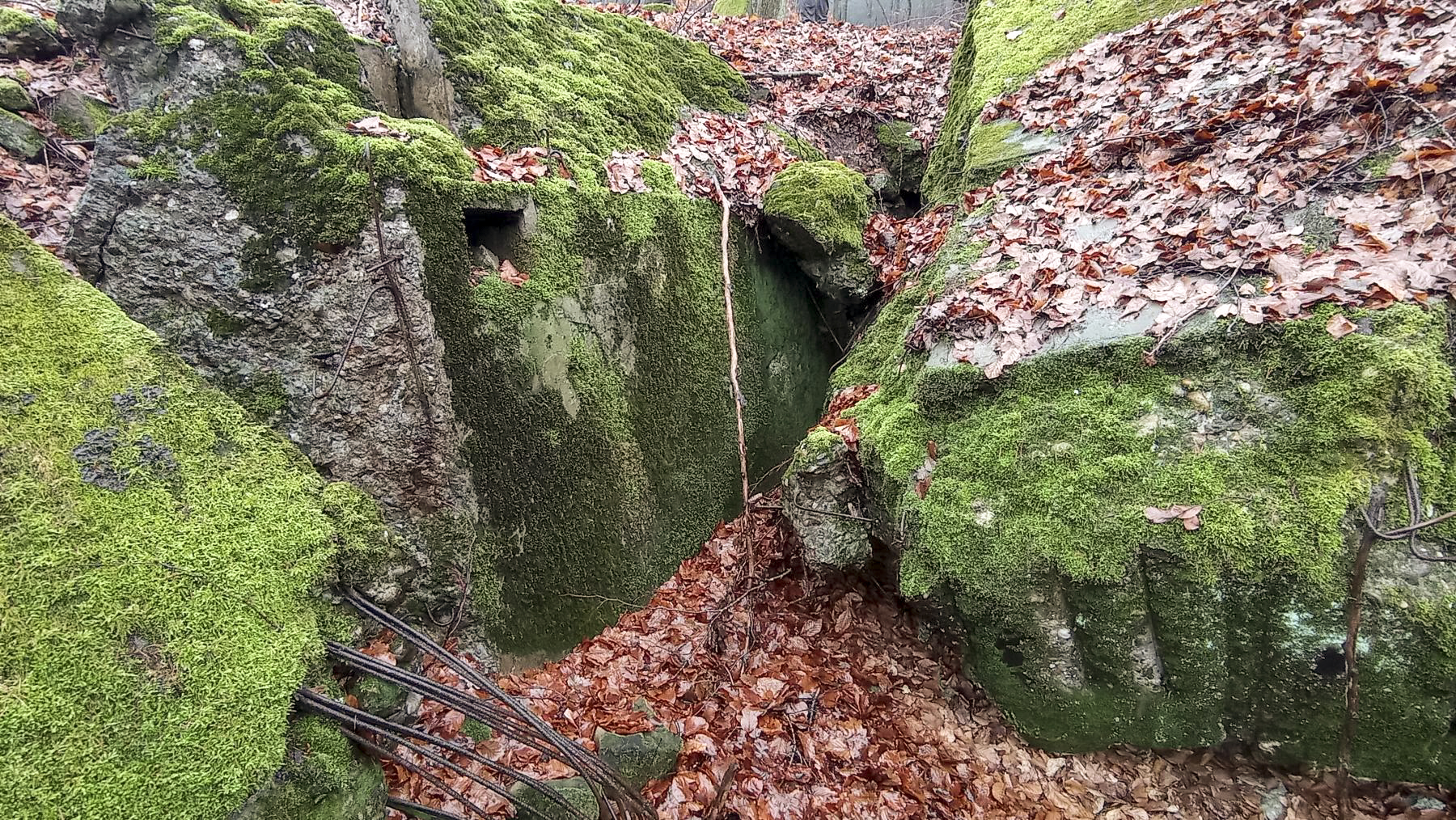 Ligne Maginot - PFAFFENBRONN - O96 - (Observatoire d'artillerie) -  - Baptiste Gaudin