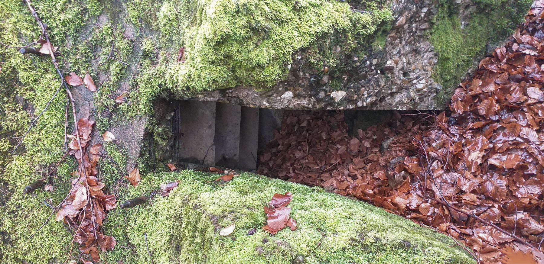 Ligne Maginot - PFAFFENBRONN - O96 - (Observatoire d'artillerie) - Une partie du créneau d'observation - Gregory Fuchs