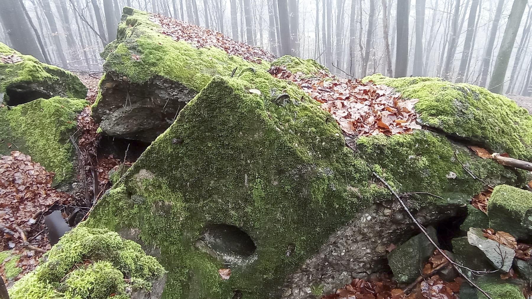 Ligne Maginot - PFAFFENBRONN - O96 - (Observatoire d'artillerie) -  - Baptiste Gaudin