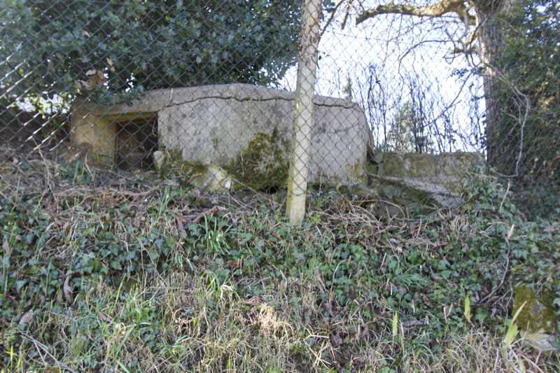 Ligne Maginot - GEISBERG ( Observatoire d'infanterie ) - Vue générale extérieure - Antoine SCHOEN