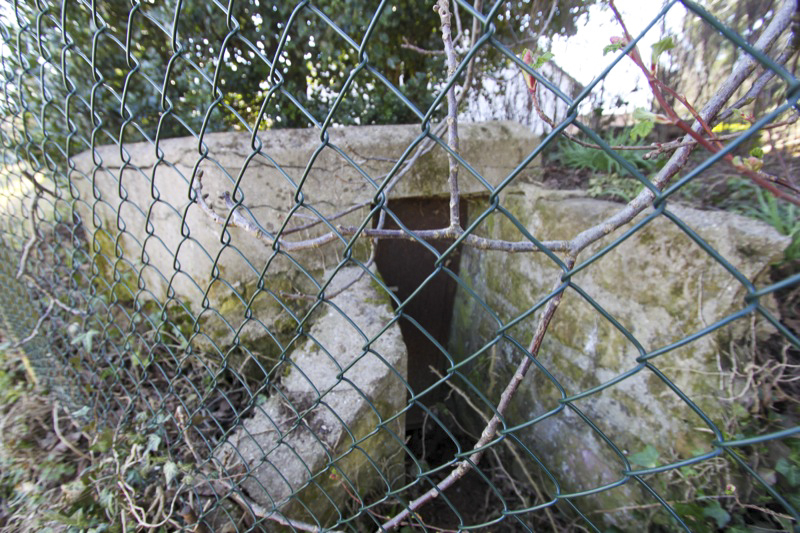Ligne Maginot - GEISBERG ( Observatoire d'infanterie ) - Vue générale extérieure - Antoine SCHOEN