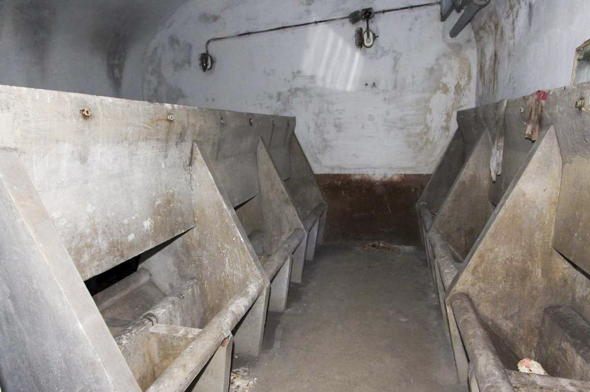 Ligne Maginot - GRASERSLOCH - (Abri) - Les lavabos pour la troupe - GRAMI