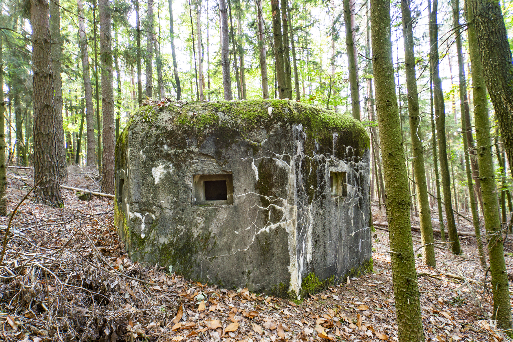 Ligne Maginot - GROS CHENE Ouest ( Blockhaus pour arme infanterie ) -  - Lia VERMEULEN