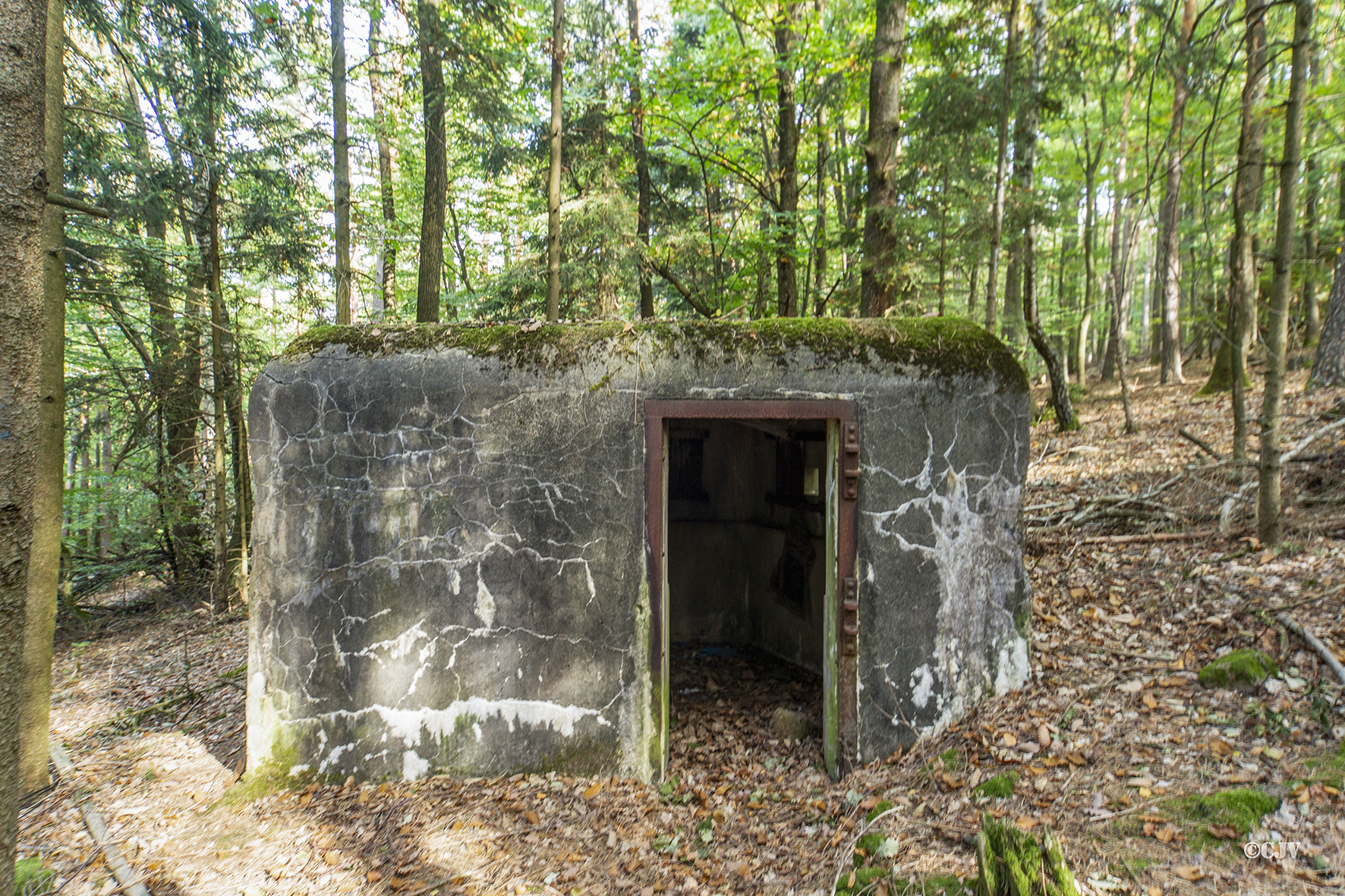 Ligne Maginot - GROS CHENE Ouest ( Blockhaus pour arme infanterie ) -  - Lia VERMEULEN