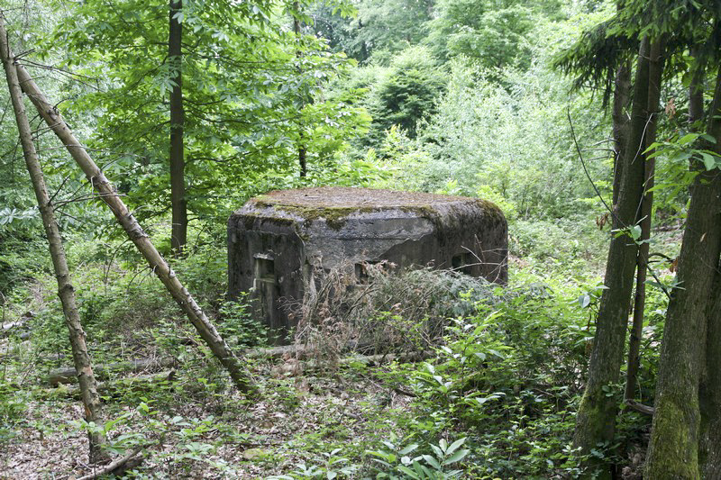 Ligne Maginot - GROS CHENE Est ( Blockhaus pour arme infanterie ) -  - GRUBER Franck