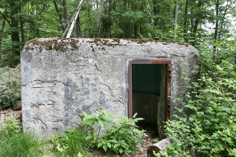 Ligne Maginot - GROS CHENE Est ( Blockhaus pour arme infanterie ) -  - GRUBER Franck