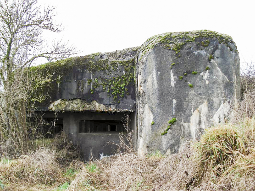 Ligne Maginot - 108 - PALLETTO - (Blockhaus lourd type STG / STG-FCR - Double) - Les créneaux, face est - R Tucker