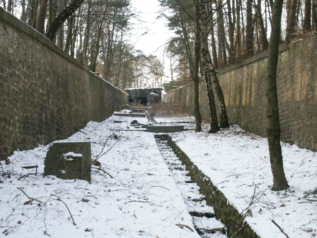 Ligne Maginot - HOCHWALD C5 ( Casemate d'infanterie ) - Le fossé antichar couvert par la casemate C5 - GRAMI