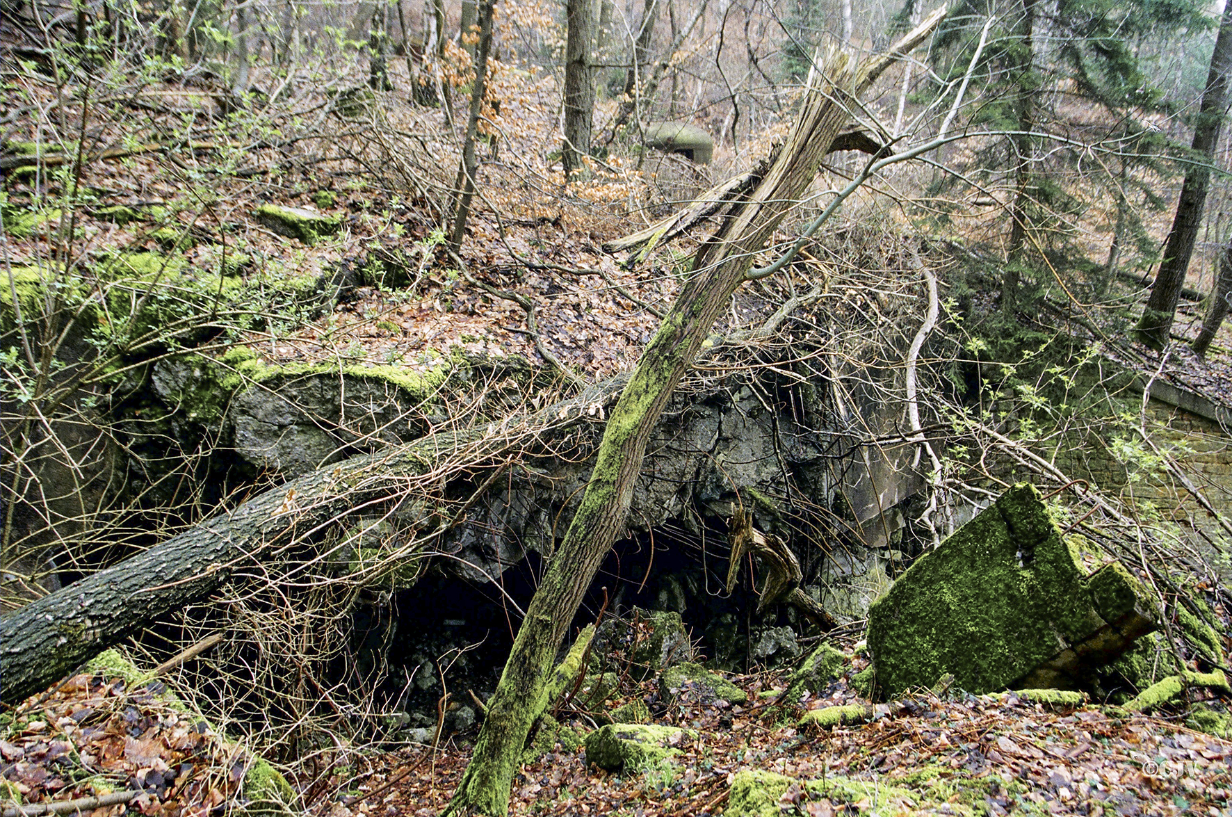 Ligne Maginot - HOCHWALD C8 ( Casemate d'infanterie ) - Vue de la façade - Lia VERMEULEN