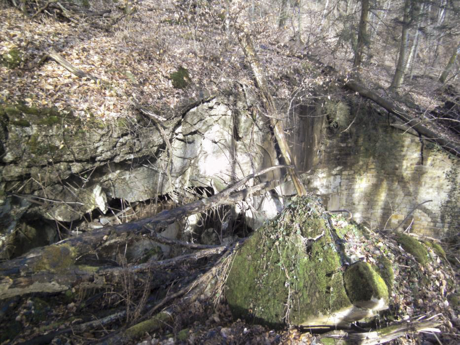 Ligne Maginot - HOCHWALD C8 ( Casemate d'infanterie ) - Vue de la façade - SCHENDEL Peter