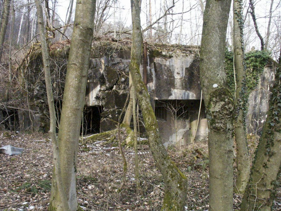 Ligne Maginot - HOCHWALD C9 ( Casemate d'infanterie ) - La façade de la casemate - GRASSER Michel