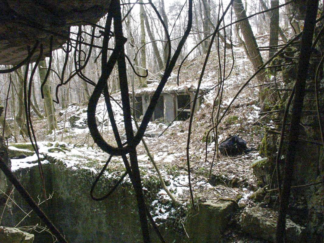 Ligne Maginot - HOCHWALD C9 ( Casemate d'infanterie ) - La façade de l'entrée éventrée  - GRAMI