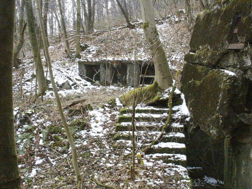 Ligne Maginot - HOCHWALD C9 ( Casemate d'infanterie ) - Les niches extérieures pour les mines et le barbelé - GRASSER Michel