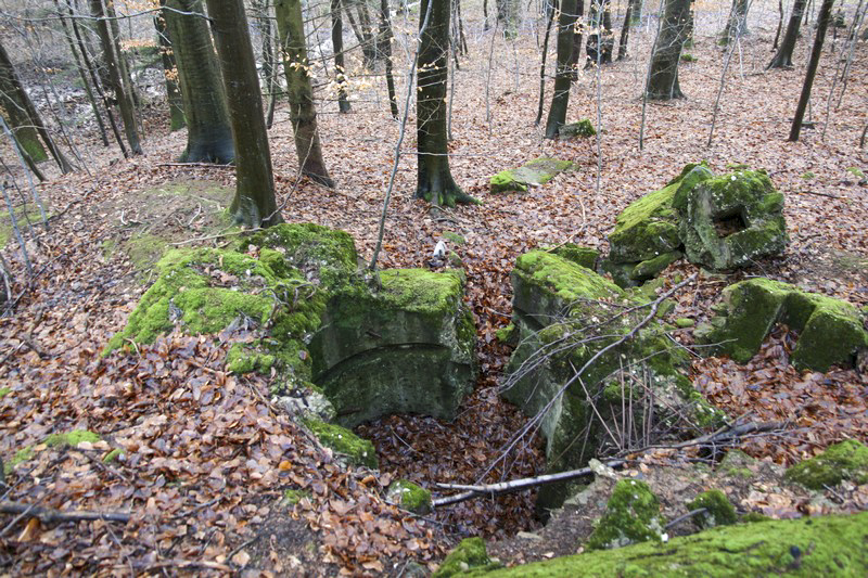 Ligne Maginot - HOCHWALD Ouest 2 ( Blockhaus pour arme infanterie ) -  - GRUBER Franck