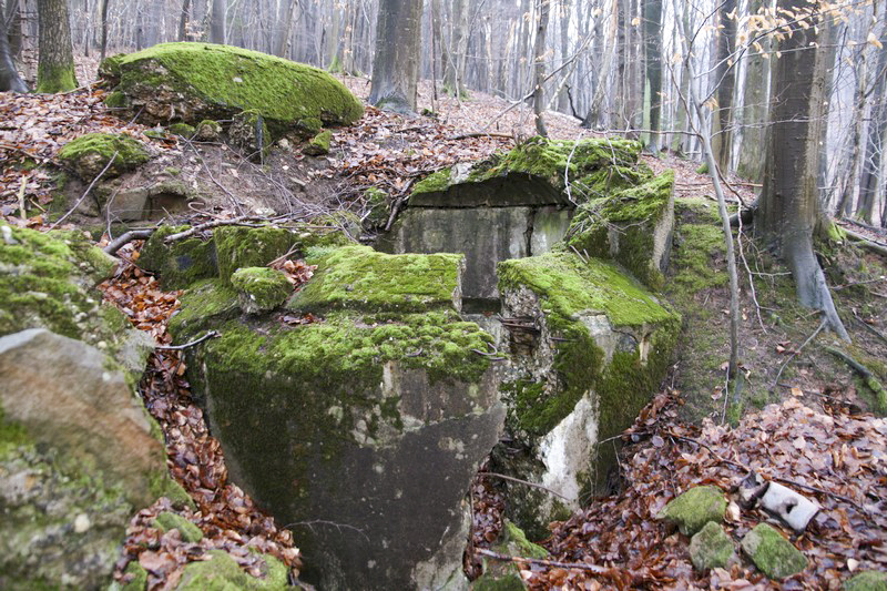 Ligne Maginot - HOCHWALD Ouest 2 ( Blockhaus pour arme infanterie ) -  - GRUBER Franck